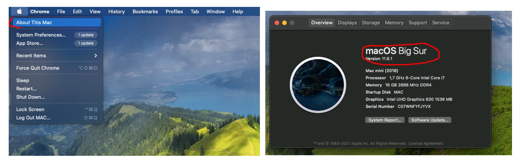 Macos And Compatibility Issues English Lover Macos And Compatibility Issues English Lover
