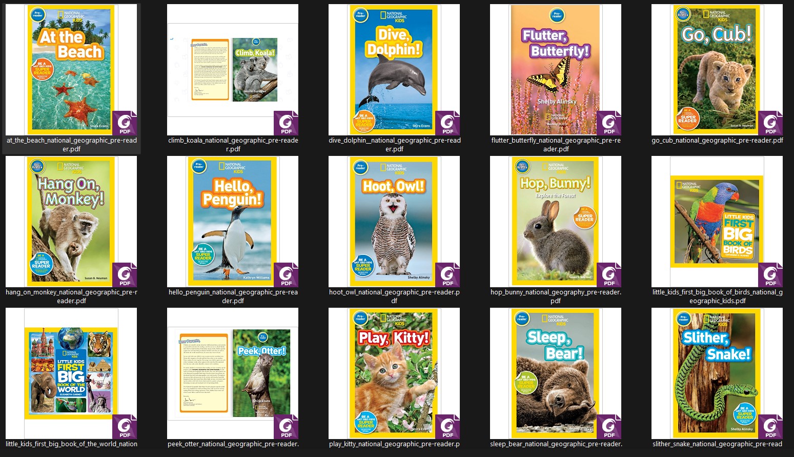 【NATIONAL GEOGRAPHIC】Pre-reader20冊音声データ付 Instant download) National Geographic Learning Pre-Readers