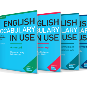 English Vocabulary in Use  - online Interactive book