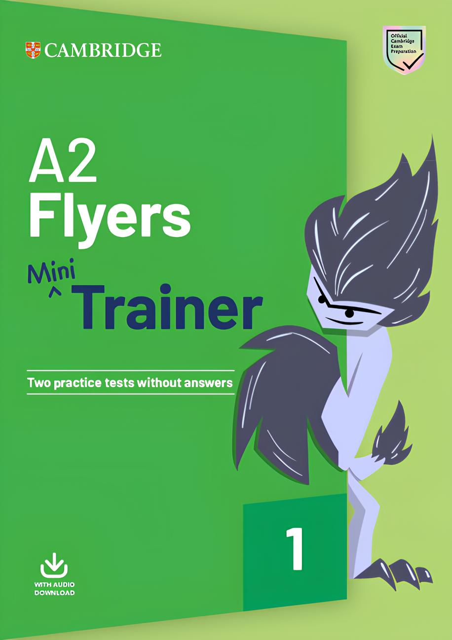 Mini Trainer Flyers